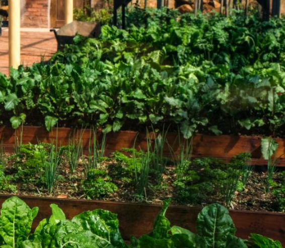 installer setting up micro-farm system