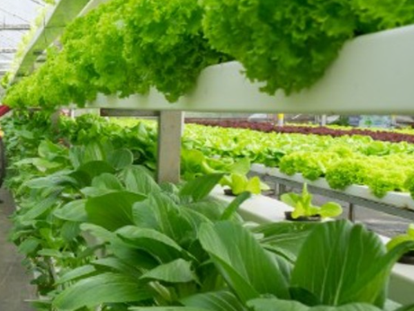 micro-farm maintenance service